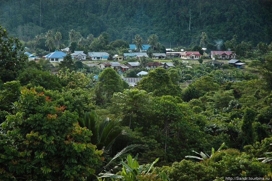 Вид на Касо с ближайшей сопки. Папуа, Индонезия