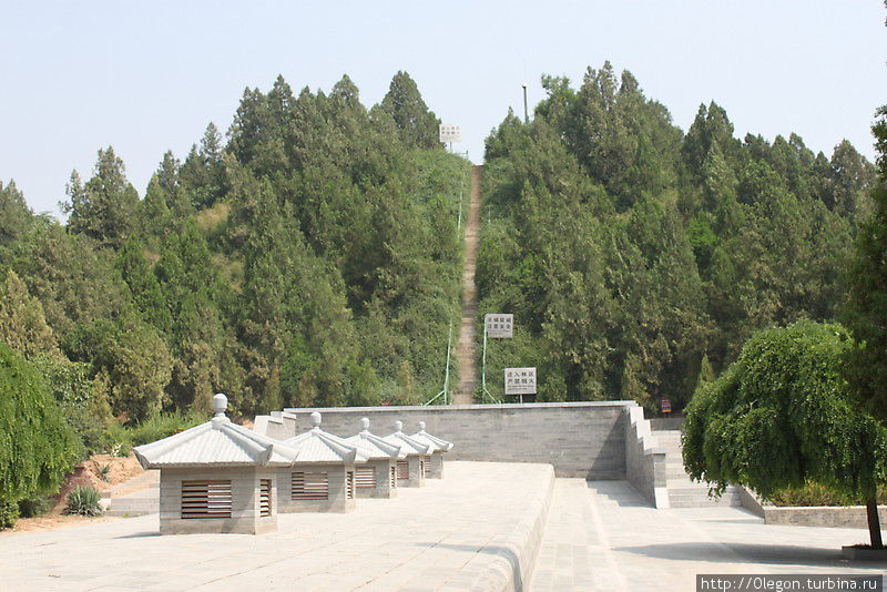 Пирамида принцессы Юн Тай заросла деревьями и кустарником Сиань, Китай
