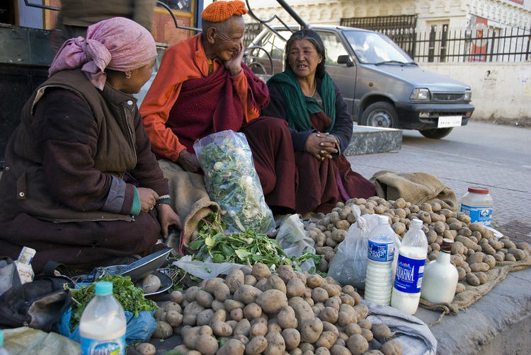 А ладакским дачницам — картошечкой и молочком. Лех, Индия