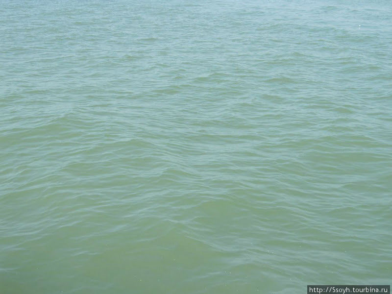 Вода в Адриатическом море очень специфического цвета. Венеция, Италия