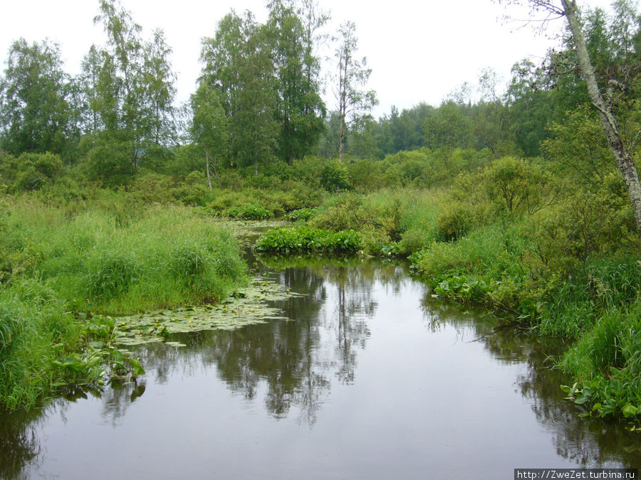 Ленинской тропой Сестрорецк, Россия