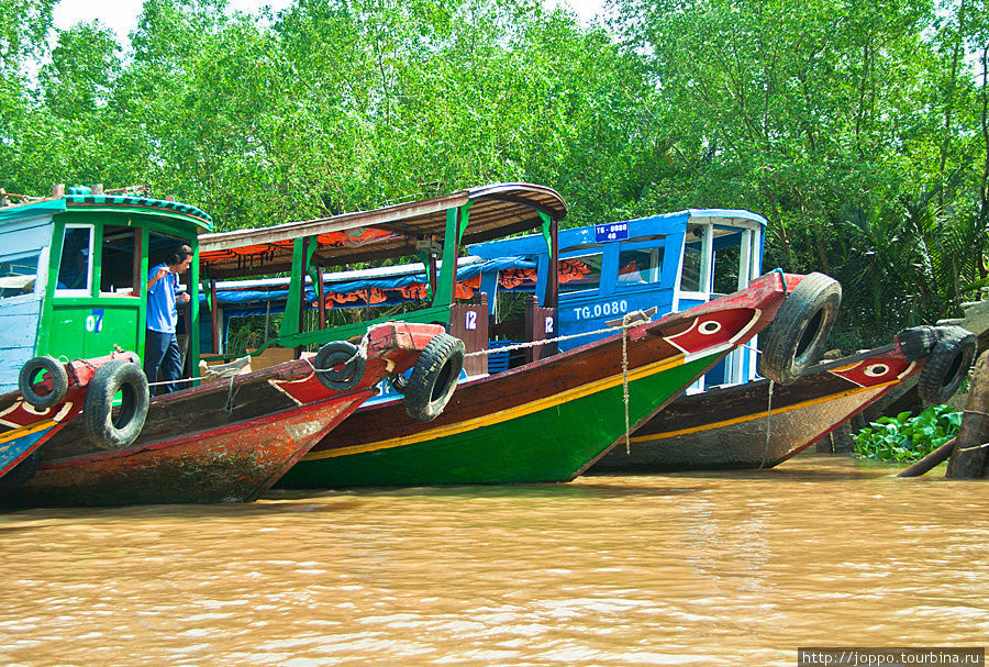 Меконг — кормилица Индокитая Дельта реки Меконг, Вьетнам