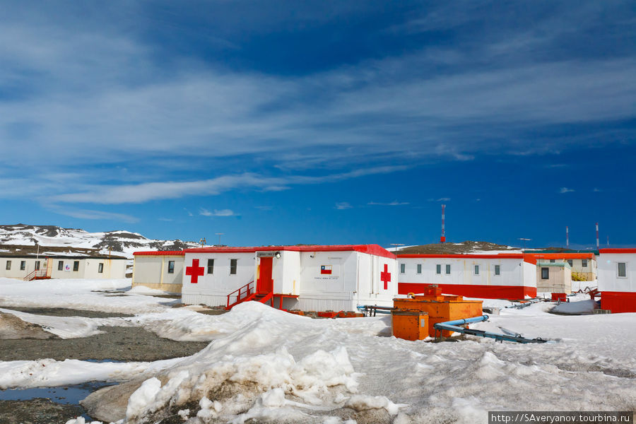 Красочная Антарктида Остров Кинг-Джордж, Антарктида