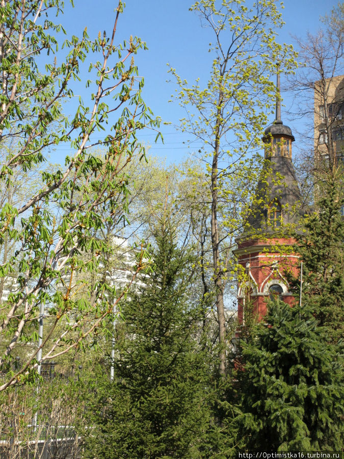 В Покровском монастыре у Матронушки перед днём её памяти Москва, Россия