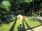 А это моя тень. Фотографирую садик на площадке перед рестораном.