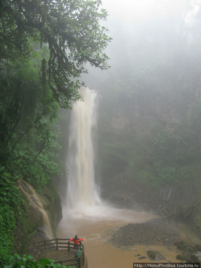 Водопад Ла-Пас Провинция Алахуэла, Коста-Рика