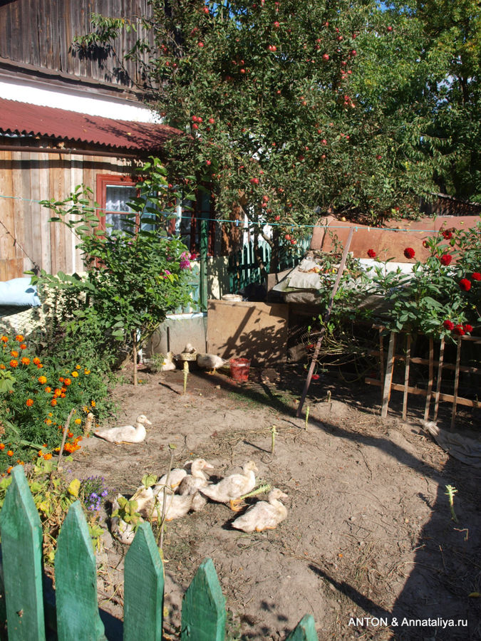 Это тоже в Старом городе. :) Луцк, Украина