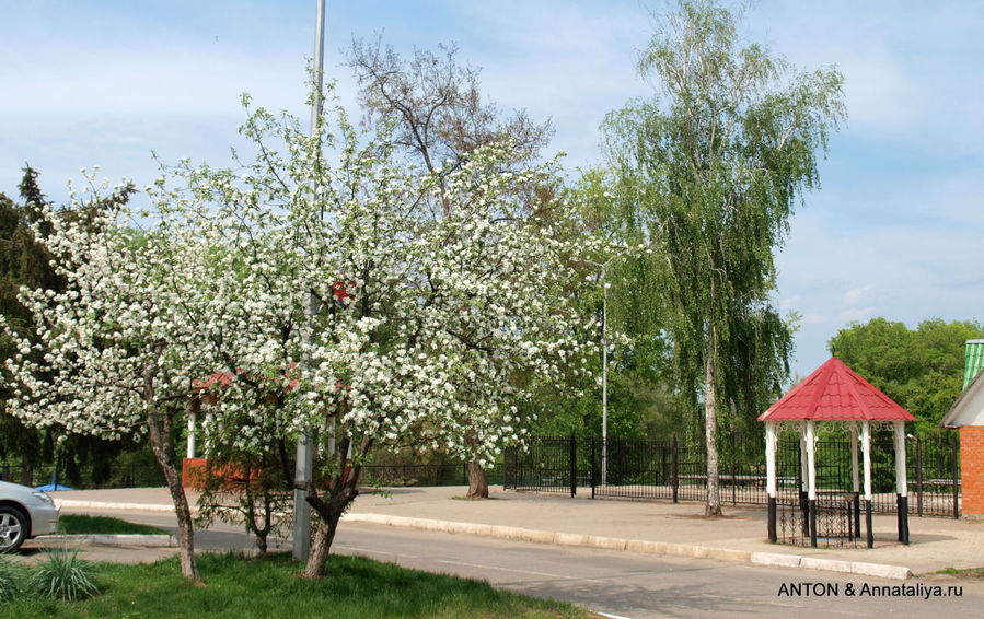 Самый чистый город в провинции Грайворон, Россия