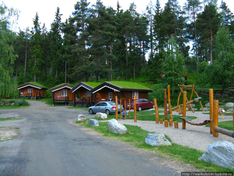 Домики с традиционной норвежской травкой на крышах