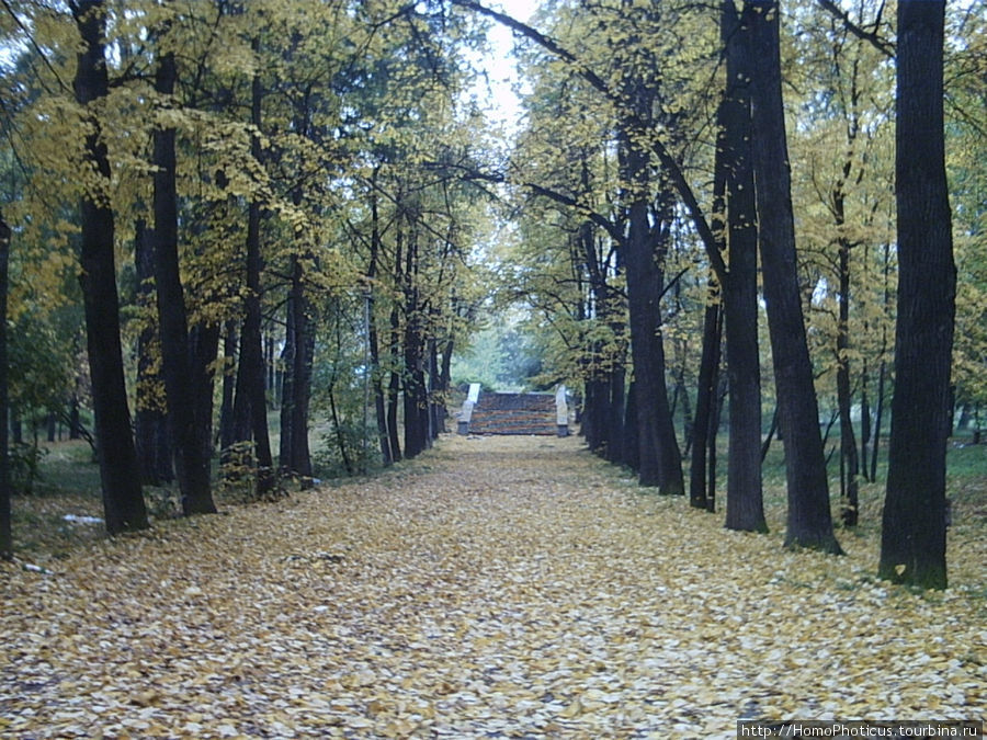 Екатеринбург золотой, Екатеринбург ледяной Екатеринбург, Россия