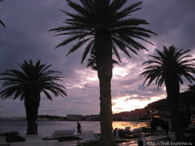 Вечер, закат, вода и пальмы Сплит, Хорватия