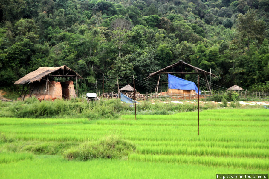 Сельская жизнь в окрестностях Пхонсавана Провинция Сиенгкхуанг, Лаос