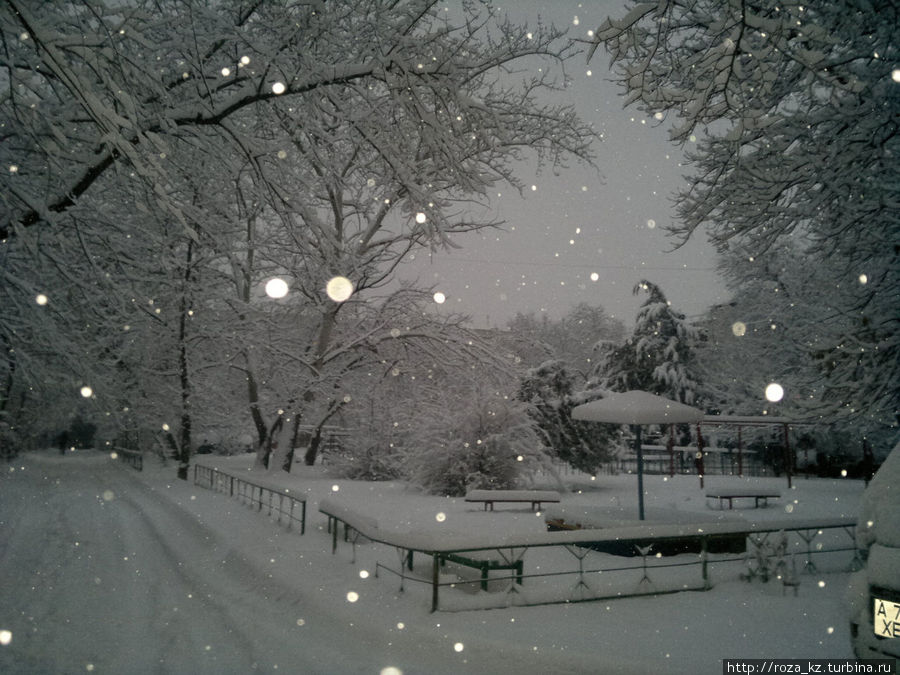 Утро. По дороге на работу. Снежинки светятся под вспышкой. Алматы, Казахстан