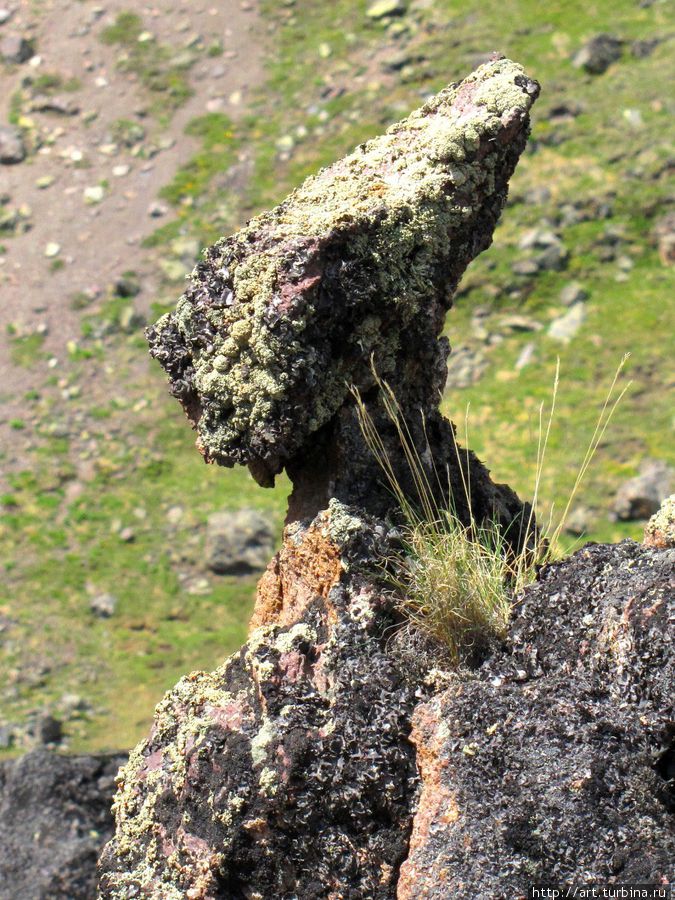 а за ними приглядывают каменные истуканы Эльбрус (гора 5642м), Россия
