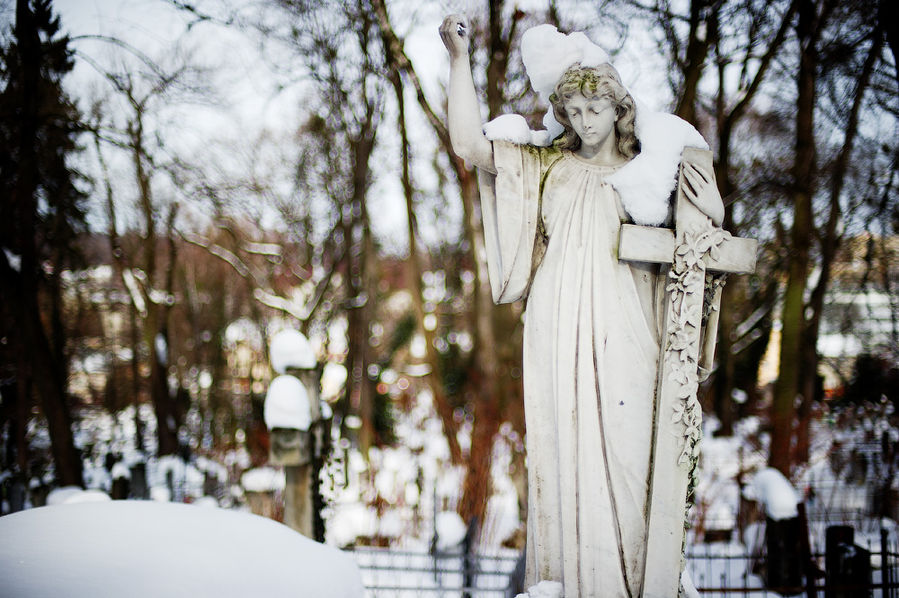 Зимние зарисовки Лычаковского Некрополя Львов, Украина