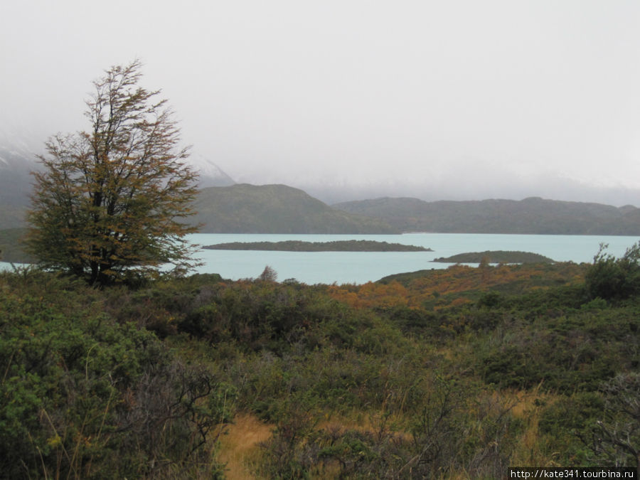 Место, куда хочется вернуться Национальный парк Торрес-дель-Пайне, Чили