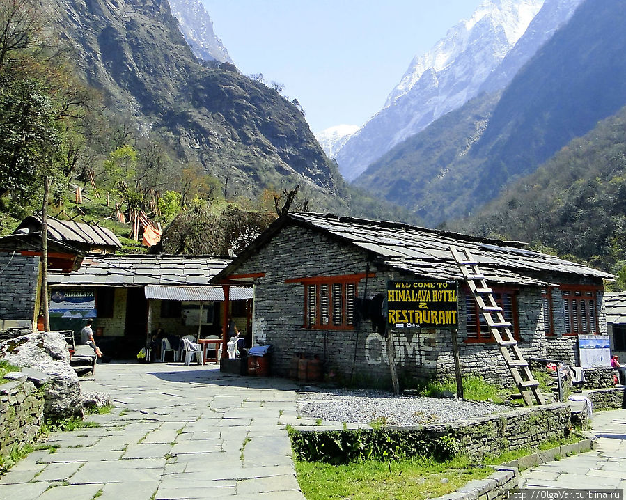 Селение Хималаи находится на высоте 2900 метров. Всего несколько домиков, но здесь можно передохнуть и подкрепиться перед тем, как продолжить путь. Нам предстоит пройти от Хималаи до следующей остановки — селения Деурали и подняться в горы всего на 300 метров... Итак, в путь... Национальный парк Аннапурны, Непал