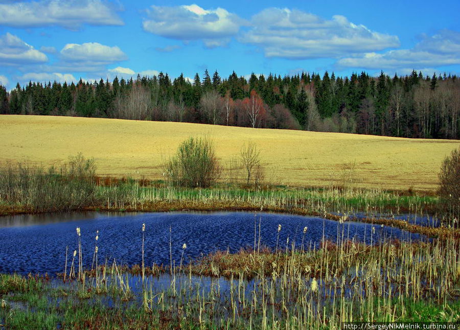 Белорусский пейзаж Минск, Беларусь