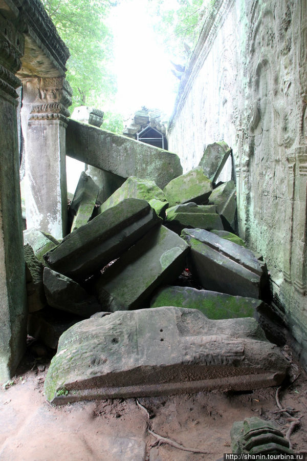 Храм Анджелины Джоли Ангкор (столица государства кхмеров), Камбоджа