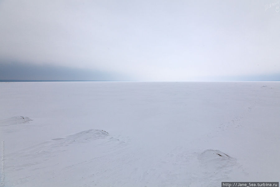 Лекшмозеро в сюрре Морщихинская, Россия