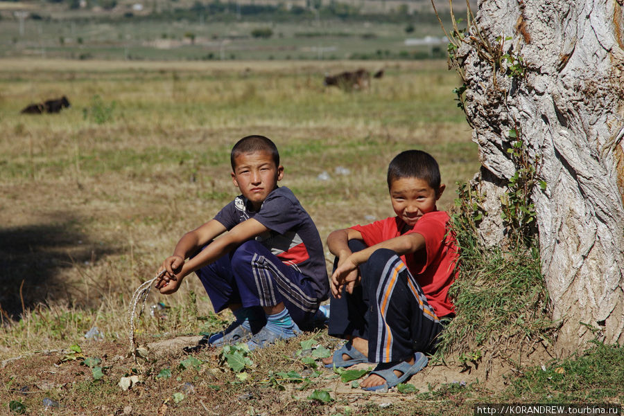 Мальчишки в первую смену пасут коров и овец, а во-вторую учатся Чолпон-Ата, Киргизия