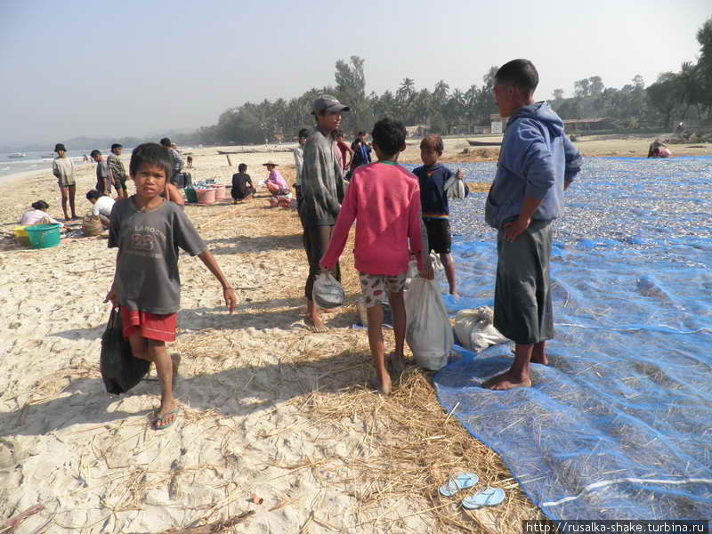 Детский труд в Бирме Мраук-У, Мьянма