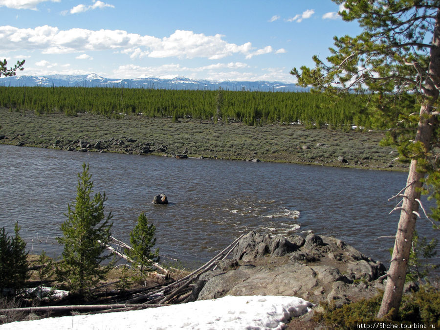 Река Мэдисон (Madison River) - 23 километра пути Йеллоустоун Национальный Парк, CША