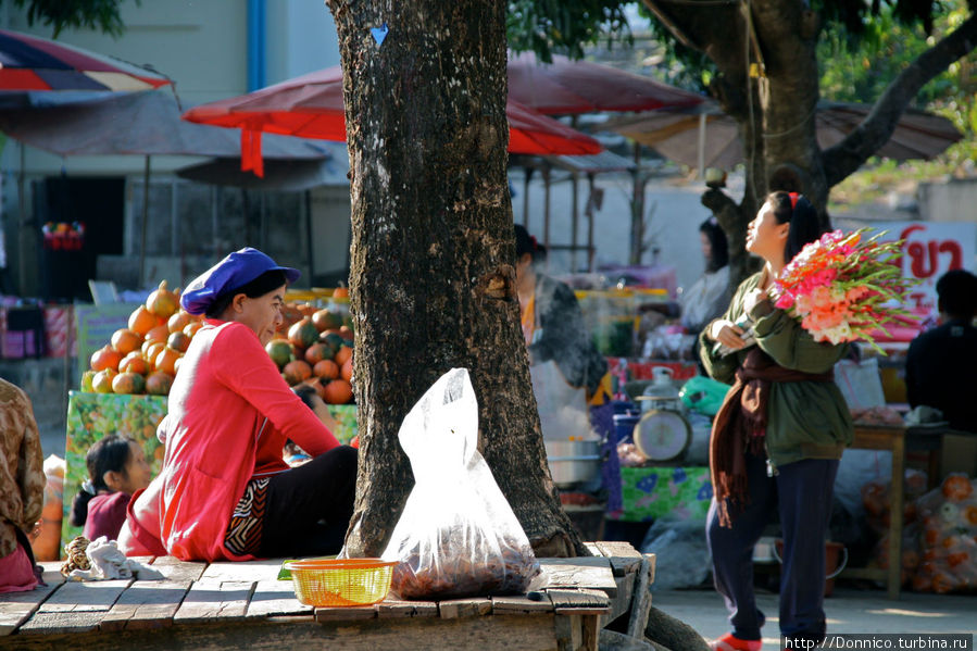 утренняя торговля цветами Национальный парк Дой-Интанон, Таиланд
