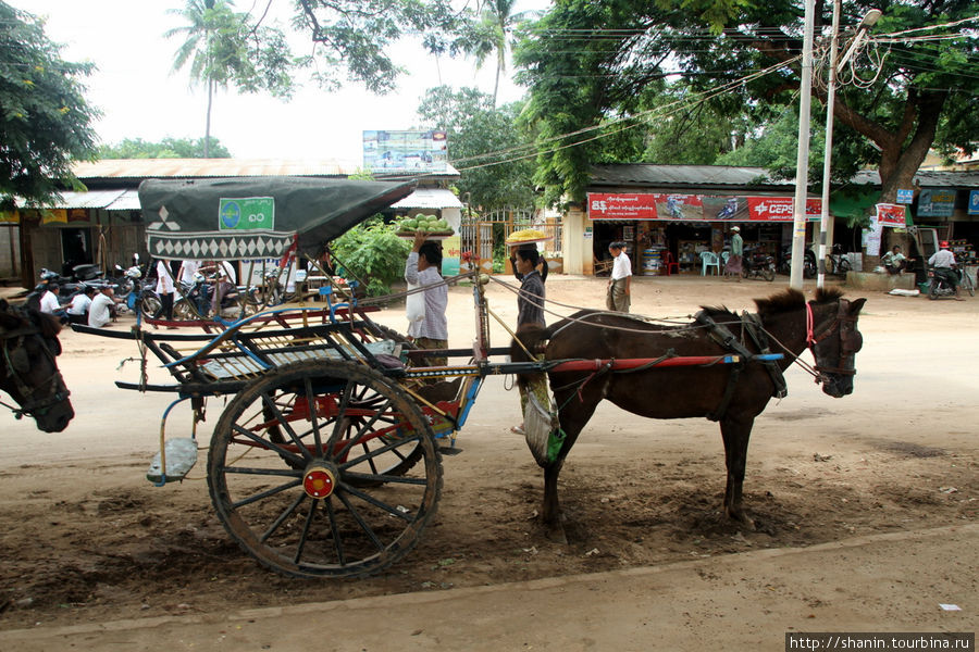 Арба как вид транспорта Штат Шан, Мьянма