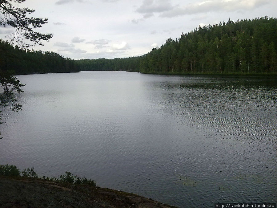 Озеро Катайаярви Реповеси Национальный Парк, Финляндия
