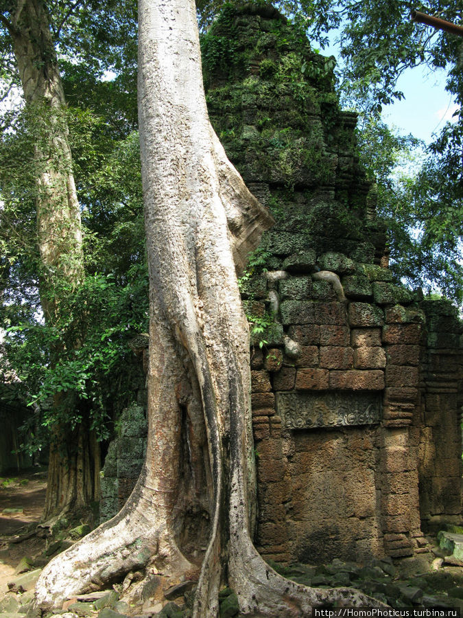 Предок Брахмы Ангкор (столица государства кхмеров), Камбоджа