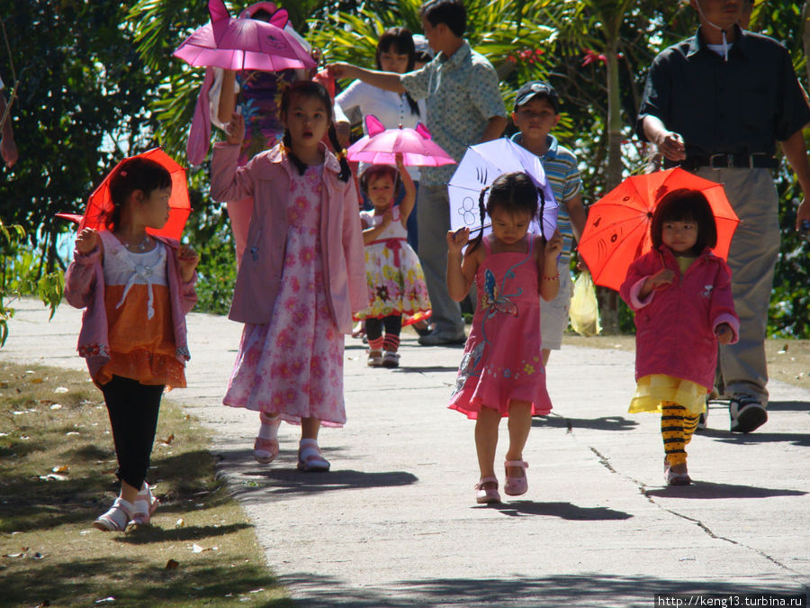 Дети Вьетнама Далат, Вьетнам