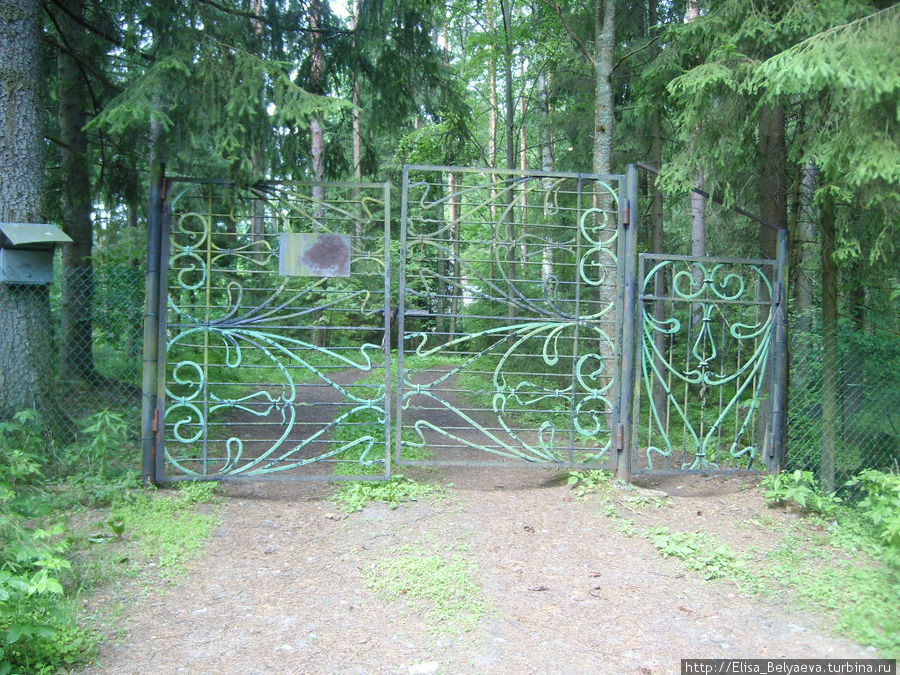 Кто видел эти ворота в Комарово? Отзовитесь!