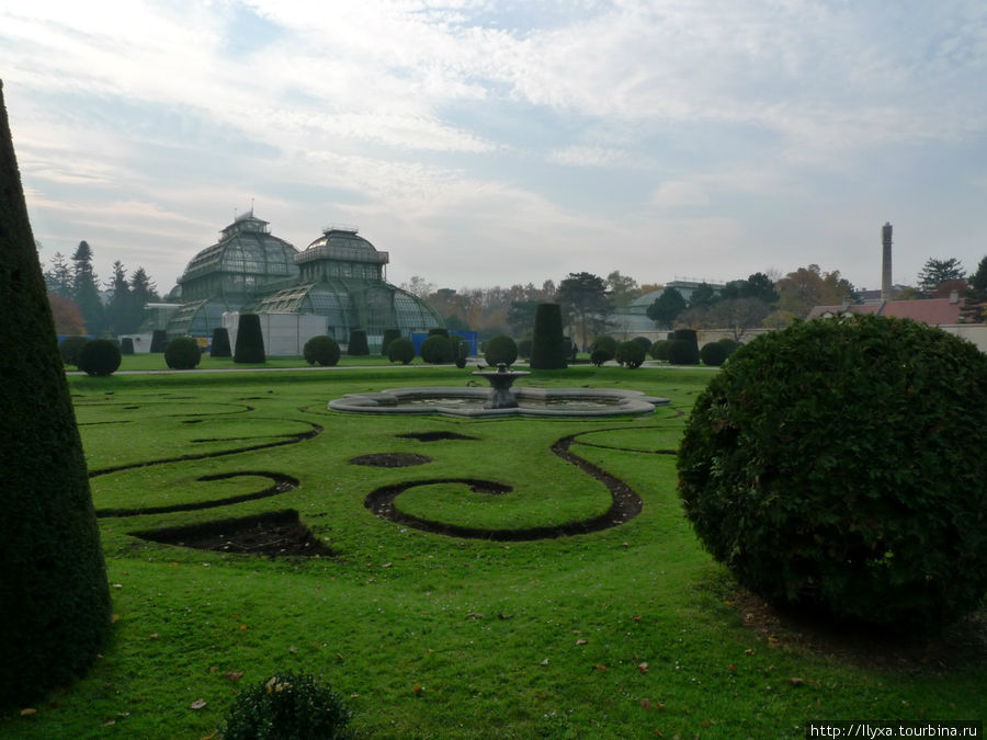 Осенний парк дворца Шенбрунн Вена, Австрия