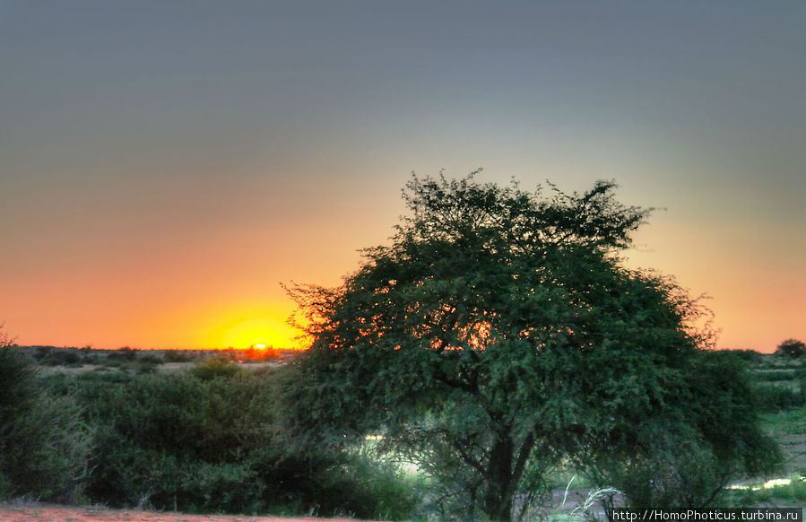 Восход в Калахари Область Карас, Намибия