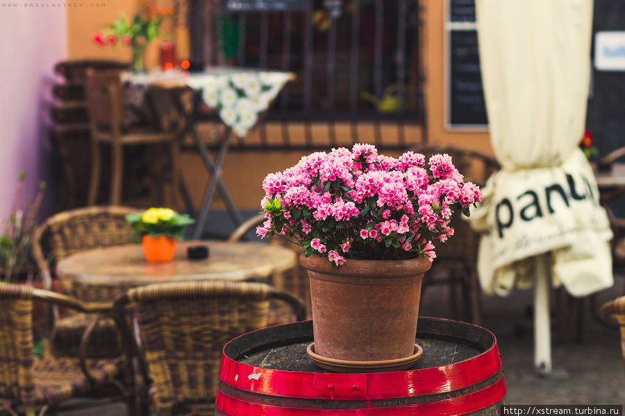Разноцветные домики, уютные дворики и кафешки, везде цветы.. Констанц, Германия