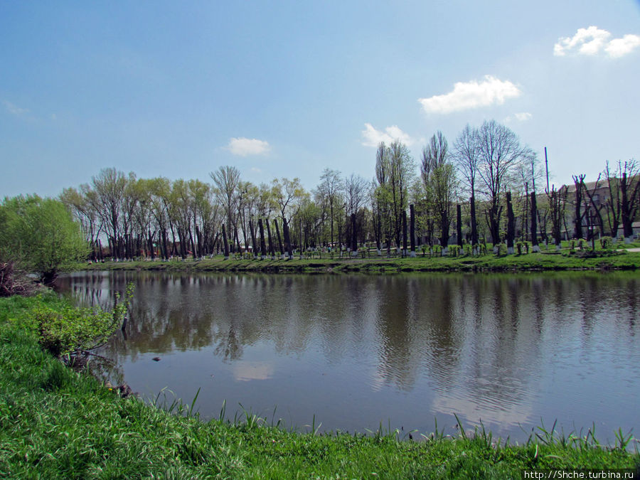 Местный пруд, называется Лисичка Калиновка, Украина