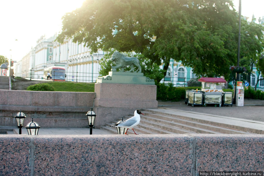 Утренний город Санкт-Петербург, Россия