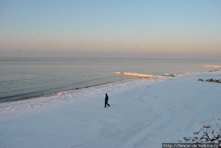 Редкий любитель погулять на морозе Зеленоградск, Россия