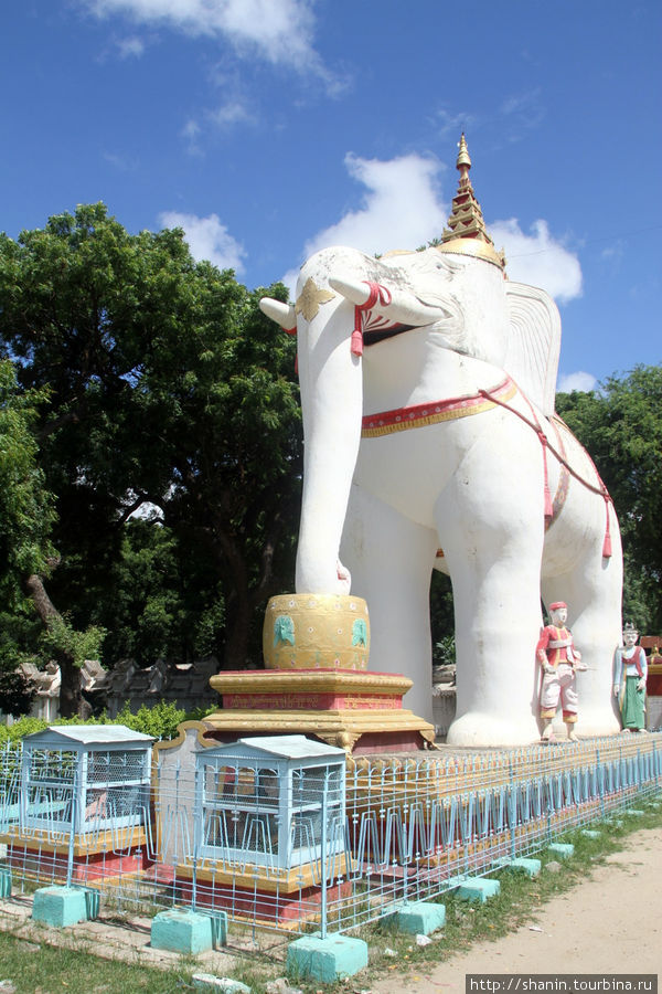 Белый слон у входа в комплекс Тамбудхе Монива, Мьянма