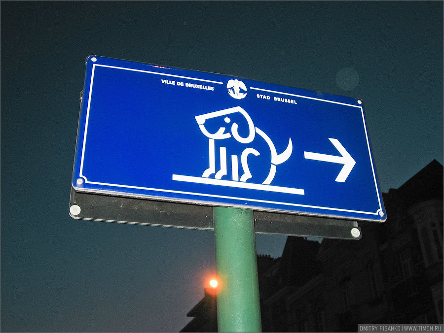 Я этот знак назвал Собаки на санках, могут ездить только задом Брюссель, Бельгия