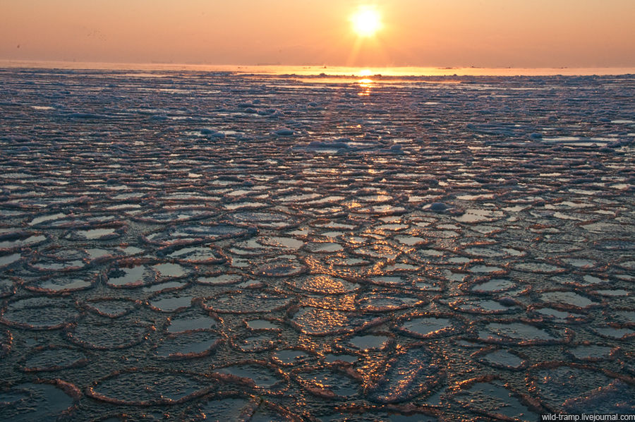 Когда замерзло море или Одесский залив в снегах и льдах Одесса, Украина