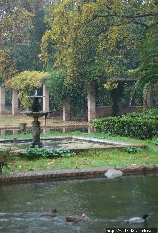 Дождь в парке Марии-Луизы, Севилья Севилья, Испания