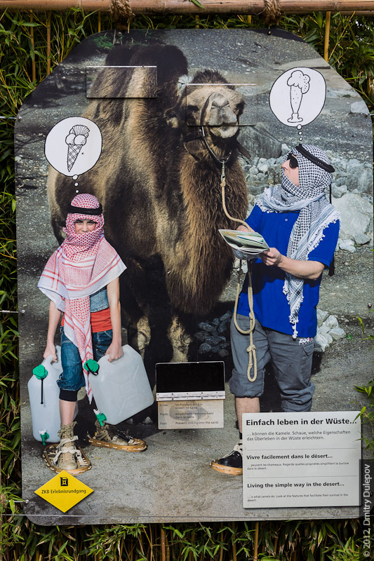Постеры в зоопарке Цюриха Цюрих, Швейцария