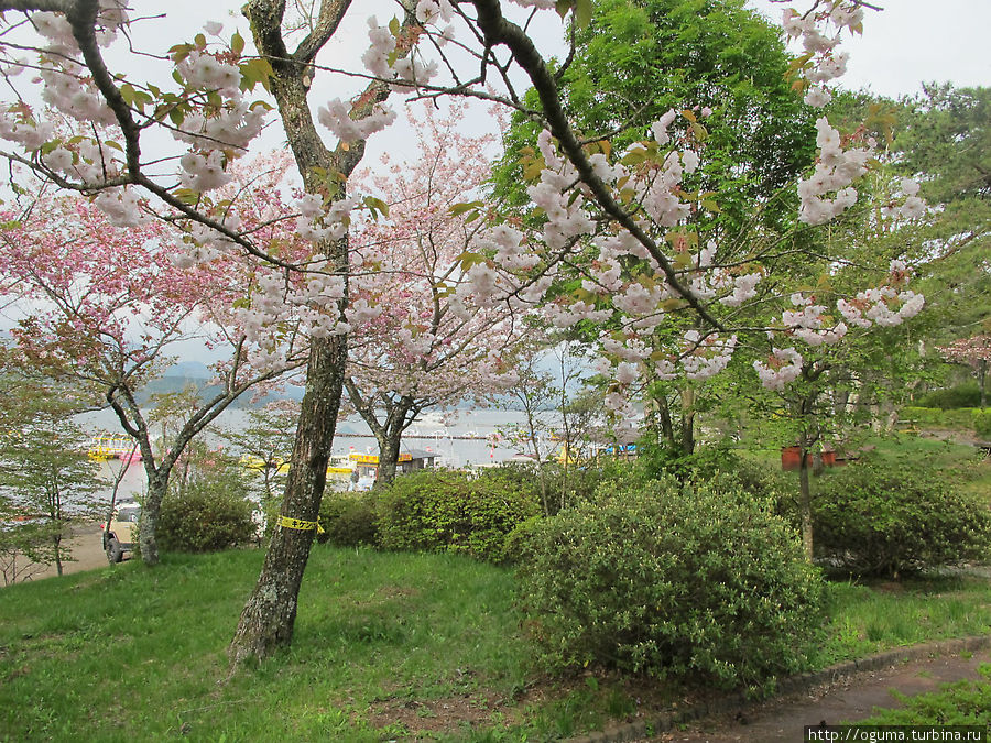 Озеро Яманакако. Ранее утро с видом на Фудзи Яманакако, Япония