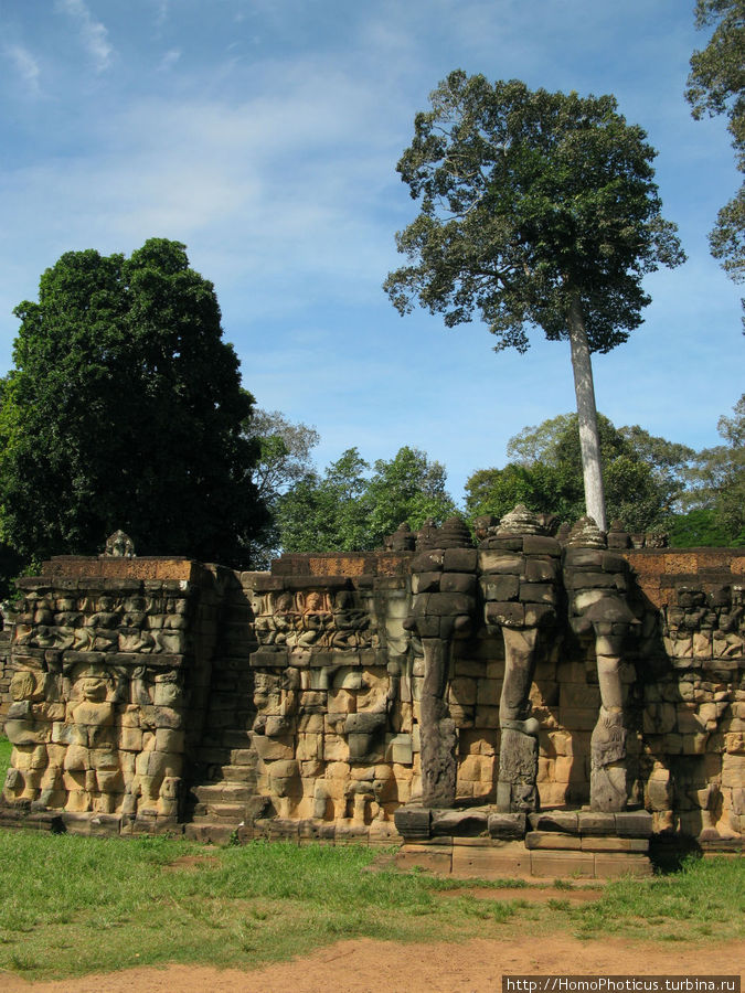 Слоновая Терраса Ангкор (столица государства кхмеров), Камбоджа