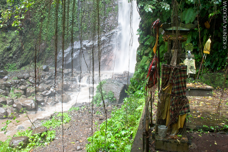 Лес: водопады северного Бали Лес, Индонезия