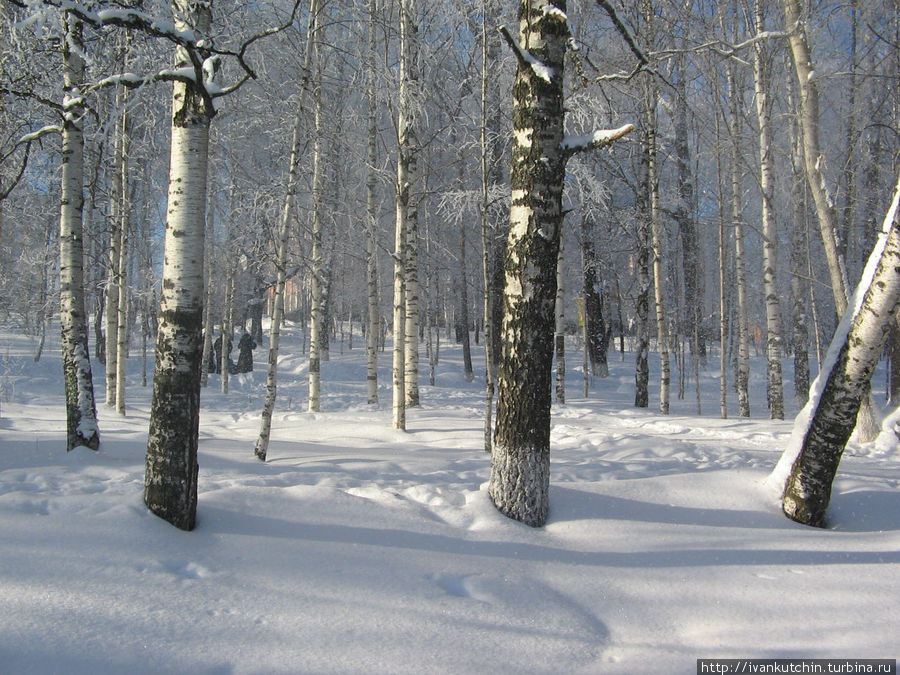 Кировский парк Сыктывкар, Россия