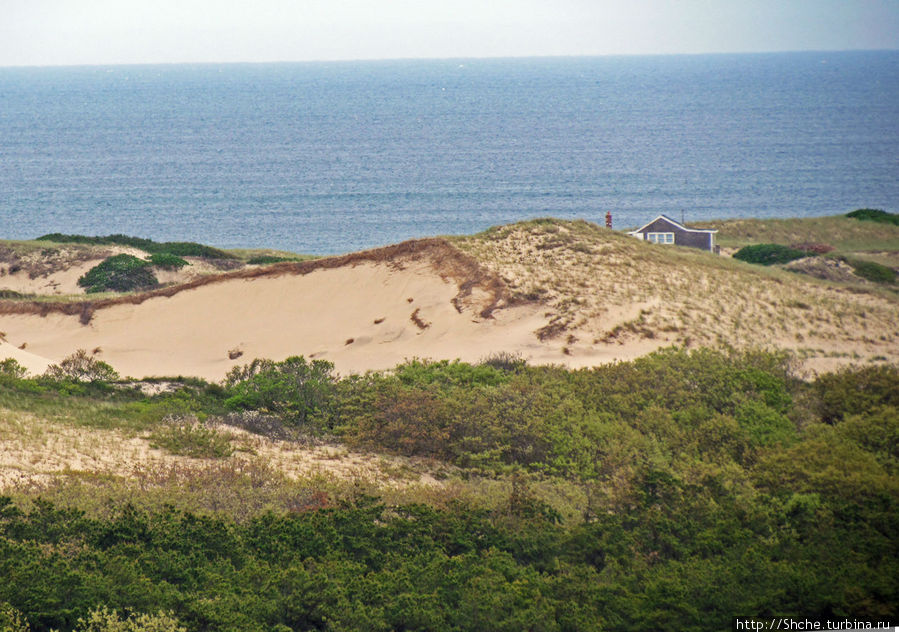 Цветущие дюны мыса Кейп-Код. Виды с площадки инфоцентра Национальное побережье Кейп-Код, CША
