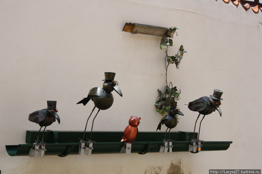 Видимо, кормушка для птиц Кведлинбург, Германия